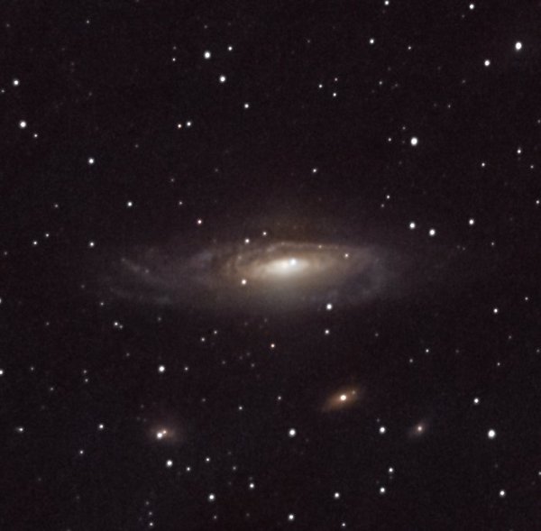 NGC 7331 - SN2025rbs