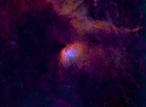 SH2-101 (Tulip Nebula)