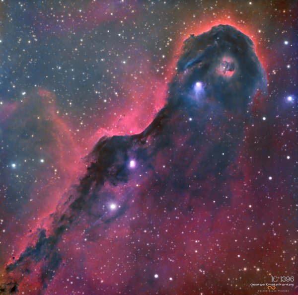 IC 1396 Elephant Trunk