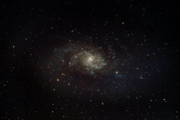 Messier 33 - Triangulum Galaxy