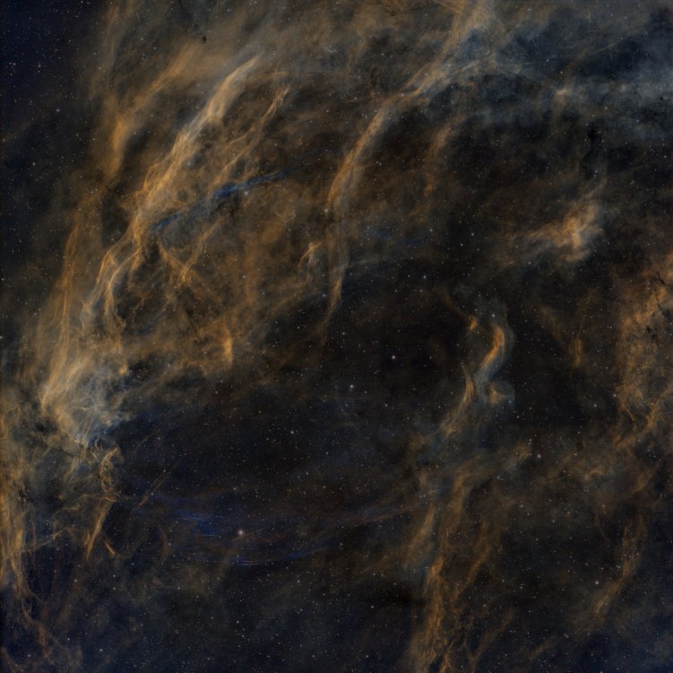 w63-SNR G82.2+05.3.jpeg