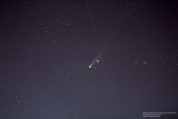 C 2025  A6 Lemmon.jpg