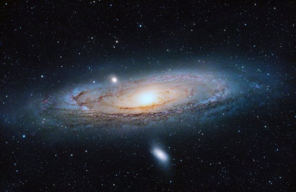 M31