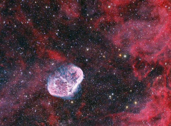 The Crescent Nebula (NGC 6888)  HaO3RGB