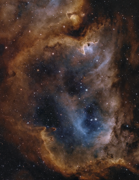 IC 1848