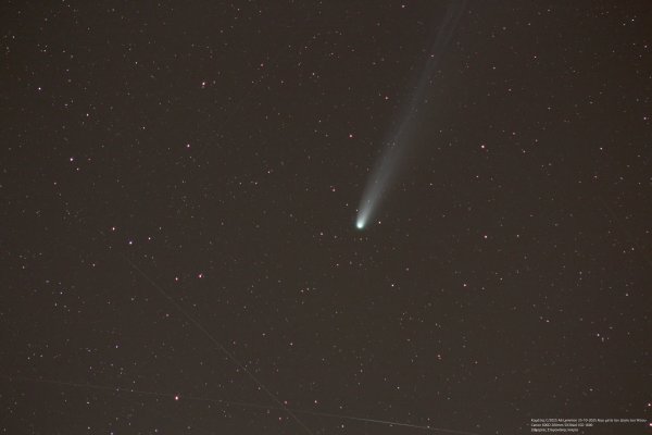 C 2025 A6 Lemmon (2) .jpg