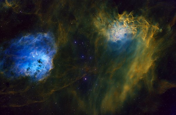 Flame Nebula and Tadpoles in HSHO