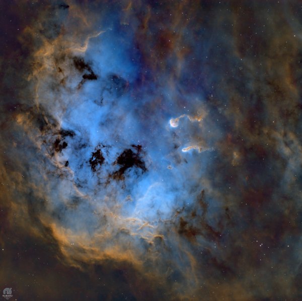 Ic410 the Tadpoles SHO