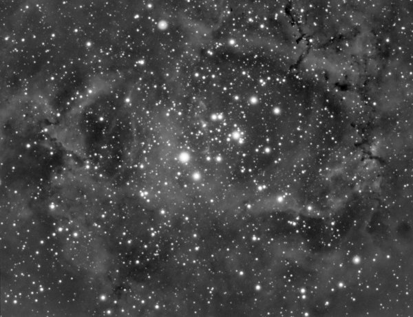 ​​​​​​​Το σμήνος NGC 2244 στο νεφέλωμα της Ροζέττας Caldwell 49