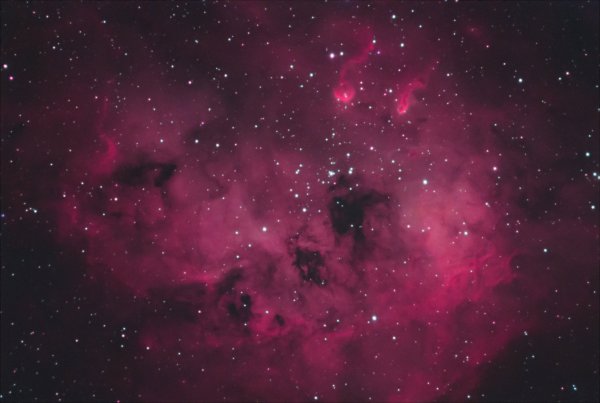 Tadpole Nebula (IC 410)