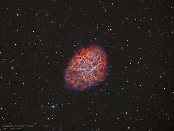 m1 crab nebula