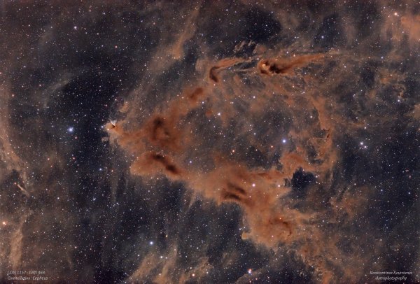 LDN 1157 - LBN 468 in Cepheus
