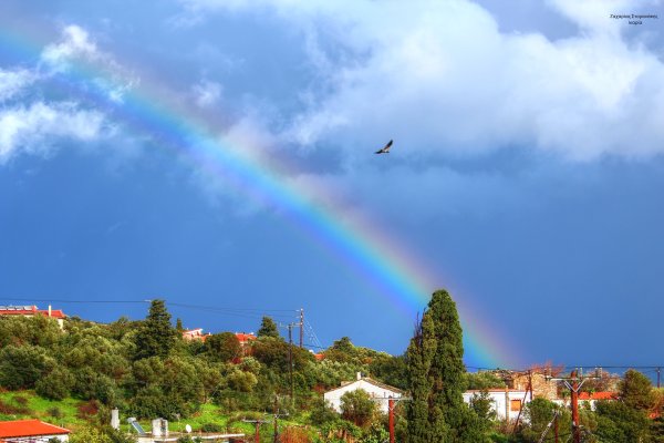 Ουράνιο Τοξο και Πουλί.jpg