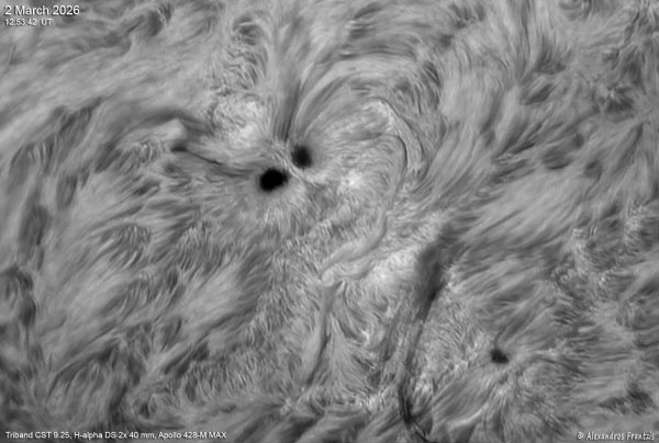 2026-03-02, Triband CST 9.25, Ha DS 2x 40 mm, Apollo428-M MAX,12_53_42, UT.jpg