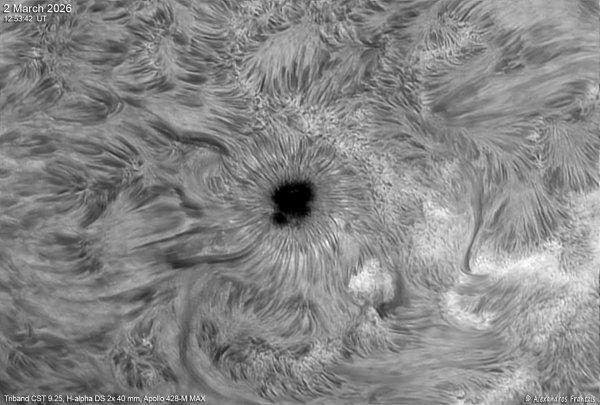 2026-03-02, Triband CST 9.25, Ha DS 2x 40 mm, Apollo428-M MAX,13_04_00, UT.jpg