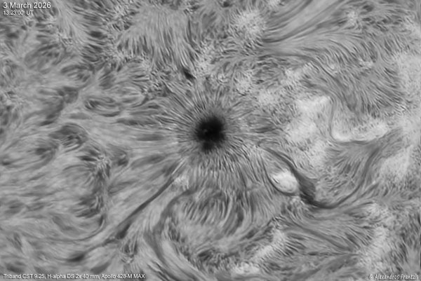 2026-03-03, Triband CST 9.25, Ha DS 2x 40 mm, Apollo428-M MAX,13_23_00 UT.jpg