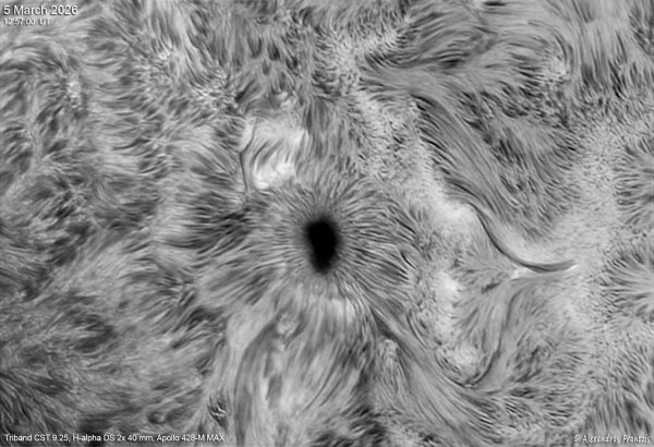 2026-03-05, Triband CST 9.25, Ha DS 2x 40 mm, Apollo428-M MAX, 12_57_00 UT.jpg