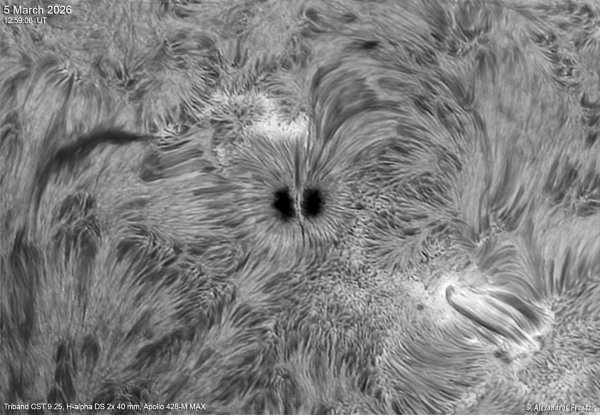 2026-03-05, Triband CST 9.25, Ha DS 2x 40 mm, Apollo428-M MAX, 12_59_06 UT.jpg