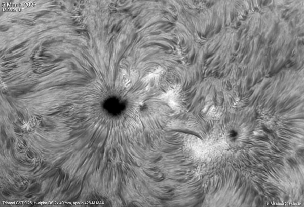 2026-03-05, Triband CST 9.25, Ha DS 2x 40 mm, Apollo428-M MAX, 13_08_1 UT.jpg