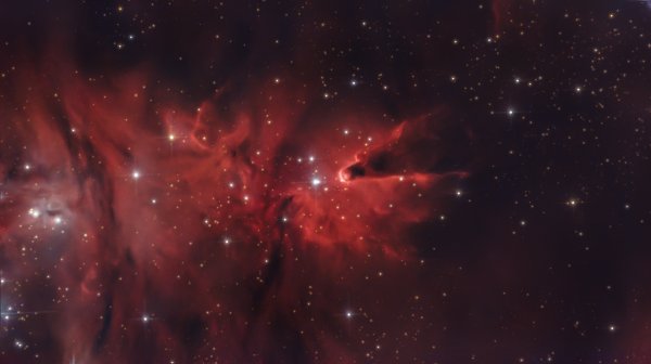 Cone Nebula (ή NGC 2264)
