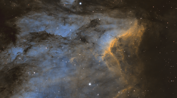 IC 5070 - The Pelican Nebula