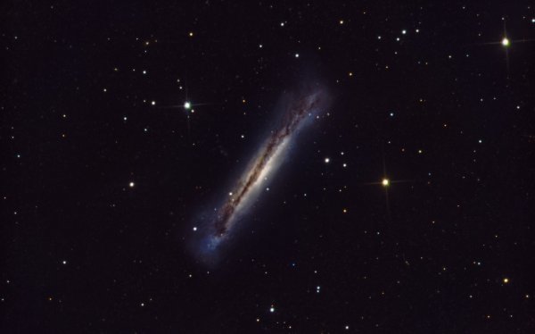 Γαλαξίας του Χάμπουργκερ (ή NGC 3628)