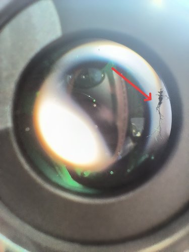 Περισσότερες πληροφορίες για το "Explore scientific 52° 3mm  LER    1,25"   "ελαττωματικό ""