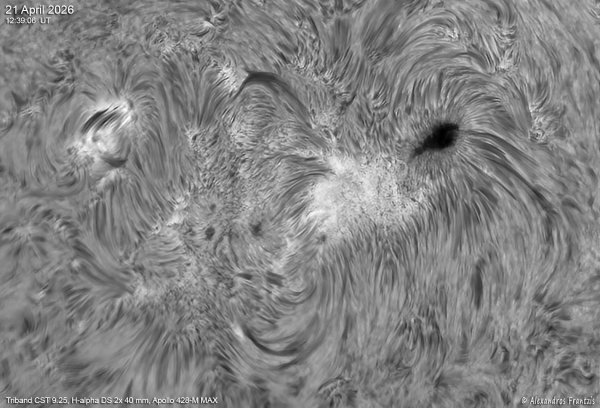 2026-04-21, AR14419, Triband CST 9.25, Ha DS 2x40 mm Lunt, Apollo428-M MAX, 13_39_06 UT.jpg