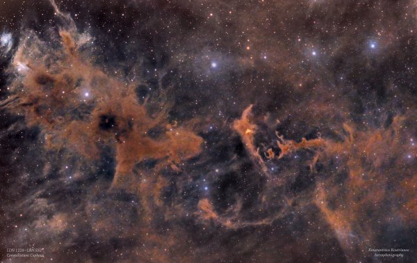 LDN 1228 - LBN 552 in Cepheus