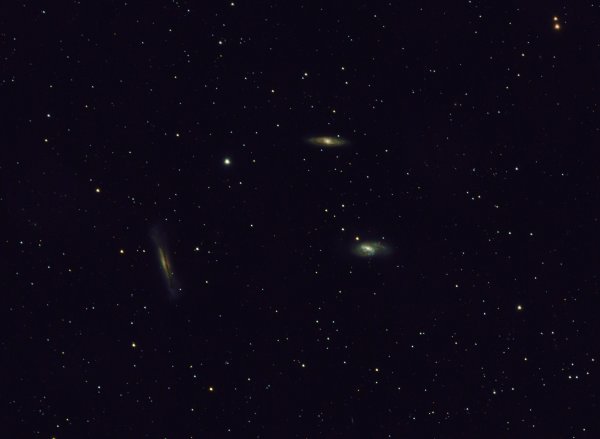 LEO TRIPLET