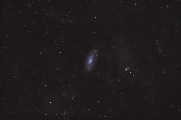 NGC 2403