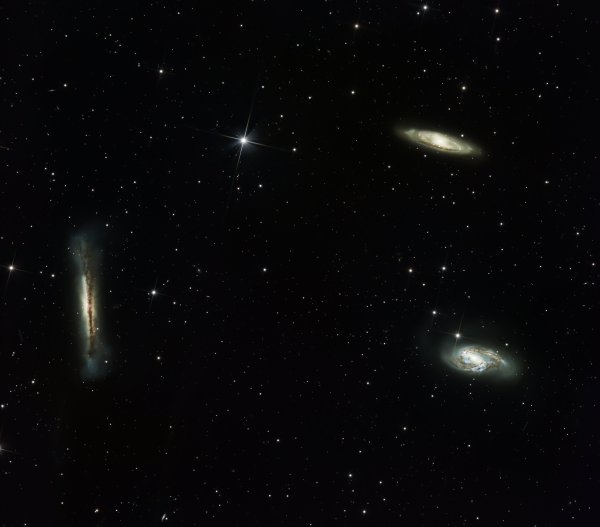 leo triplet