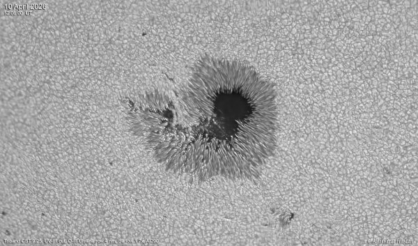 2026-05-31, AR14455, UV-IR cut, O-III Ultranarrow 4 nm, Barlow 1.7x, ASI290, 10_05_30 UT.jpg