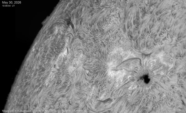 2026_05_30, AR 14455, Mosaic of 4 images, Triband CST 9.25, TZ-4S 4x, Ha DS 2x40 mm, Apollo428-M MAX, 10_08_54 UT