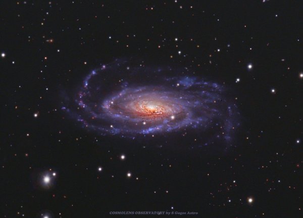 NGC 5033.