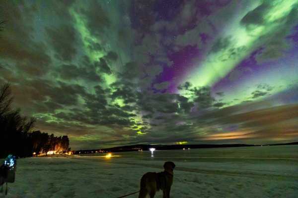Arctic Circle, lake Vietonen