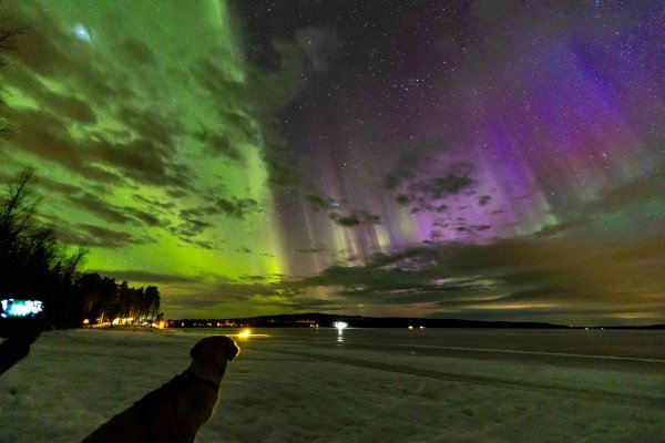 Arctic Circle, lake Vietonen