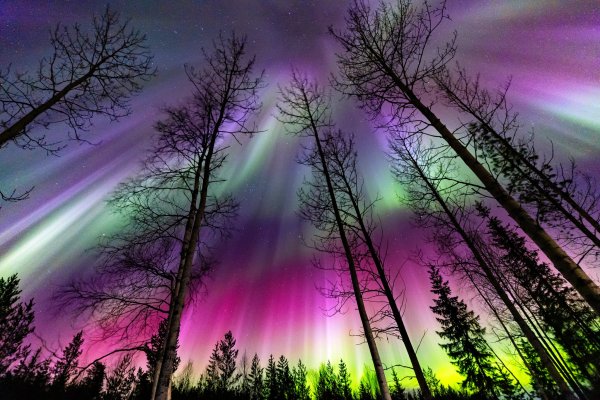 Arctic Circle, lake Vietonen