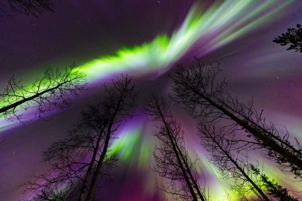 Arctic Circle, lake Vietonen