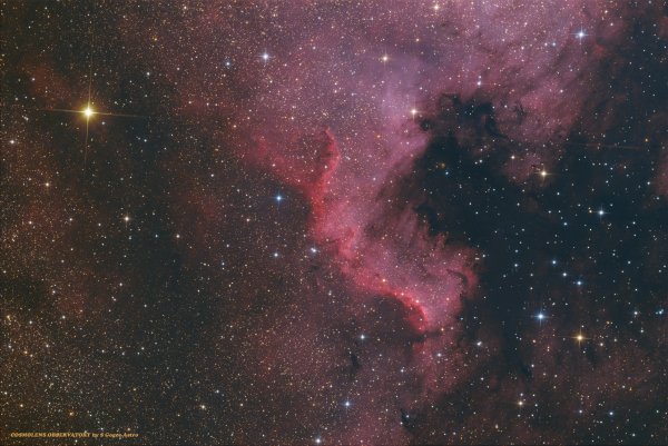 Cygnus Wall