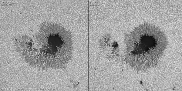 2026-05-31 & 2026-6-1, AR14455 evolution, UV-IR cut, O-III Ultranarrow 4 nm, Barlow 1.7x, ASI290, 10 & 11 UT.jpg