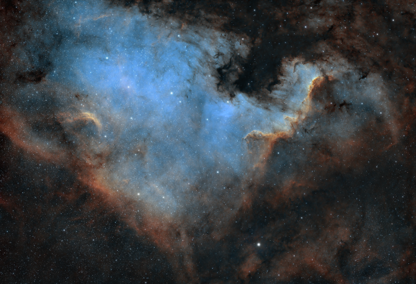 Ngc 7000