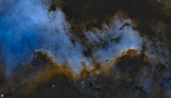 Cygnus wall revision