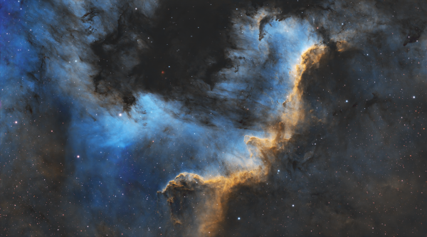 North America NGC 7000 - Cygnus Wall