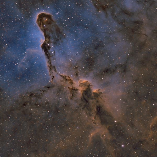 elephant trunk nebula