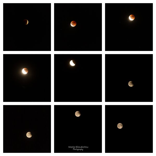 BeFunky-collage.jpg