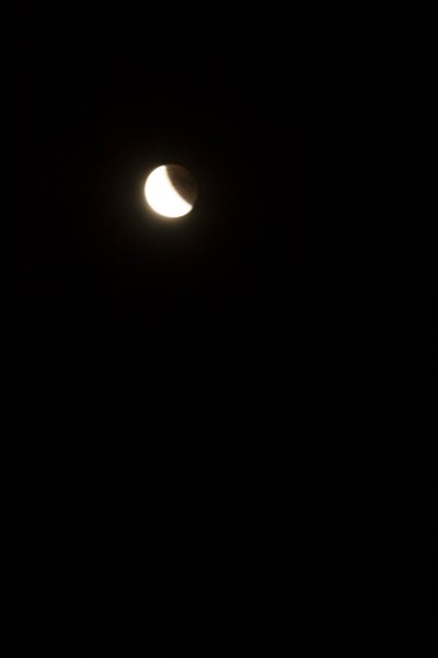 IMG_0668.JPG