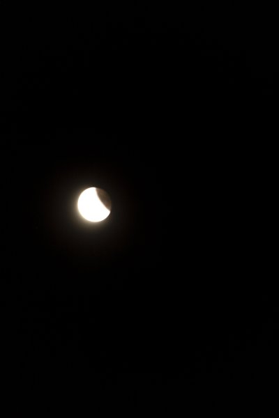 IMG_0690_1.JPG