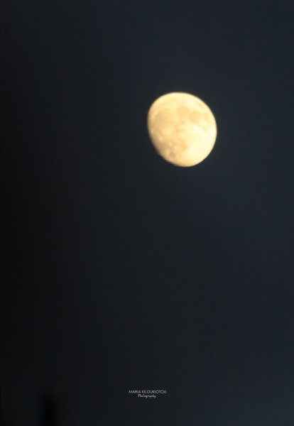 IMG_5340.jpg