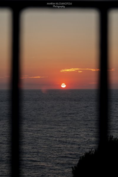 IMG_5377.jpg